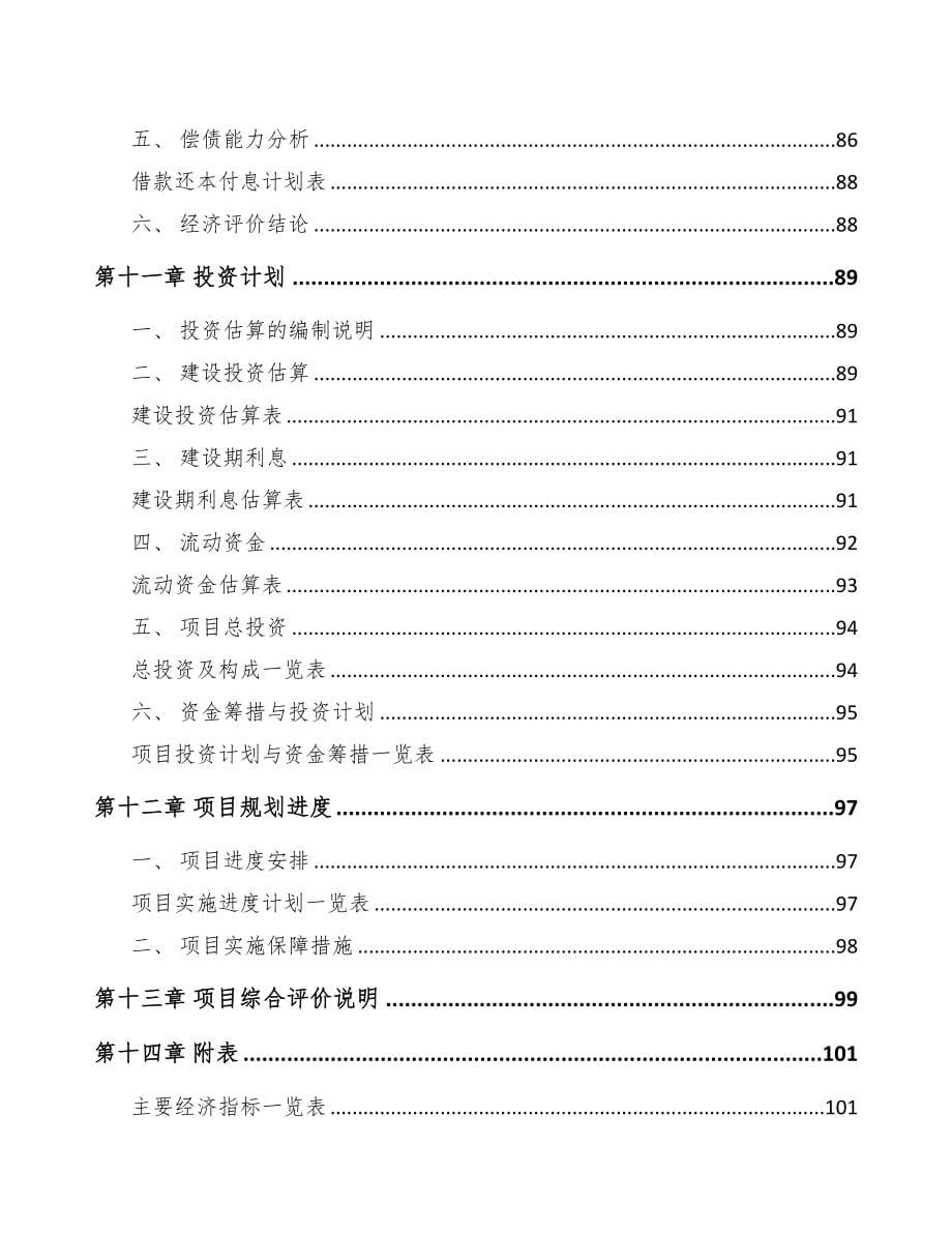 北京关于成立电解槽公司可行性报告(DOC 78页)_第5页