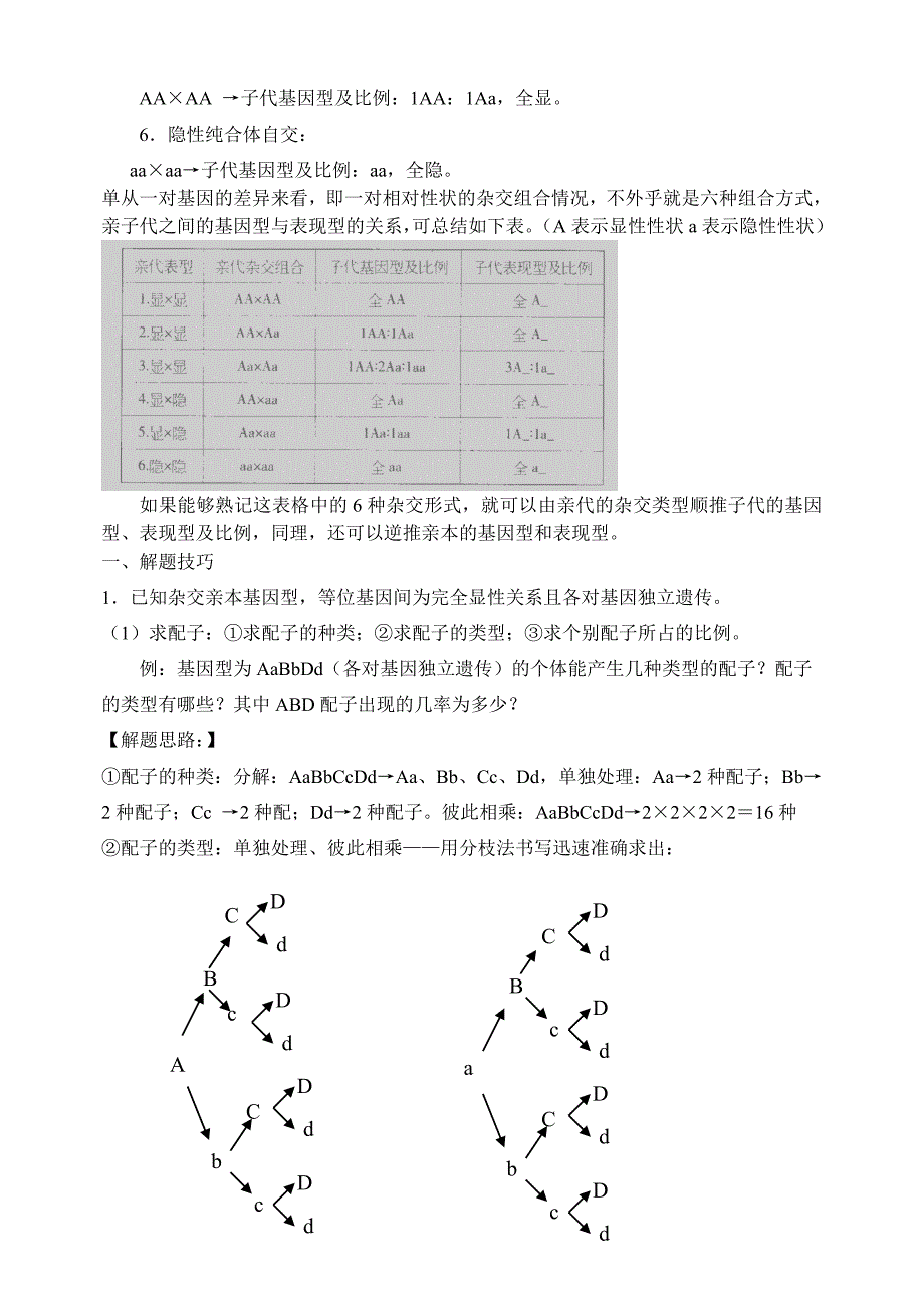 高中生物 遗传学解题技巧综合 新人教版必修2_第2页