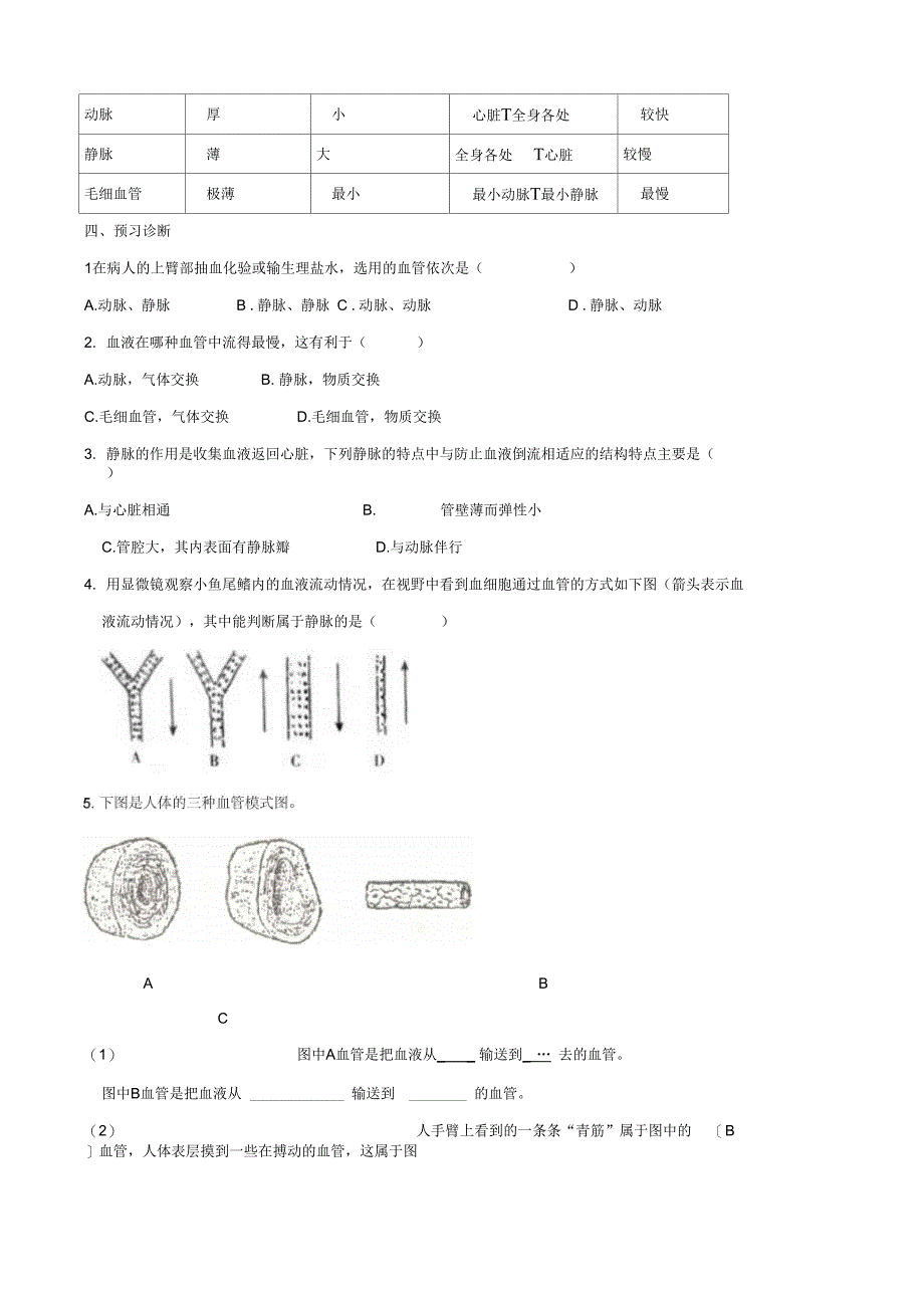 七年级生物上册4.4.2物质运输的管道血管导学案无答案鲁科版五四制_第3页