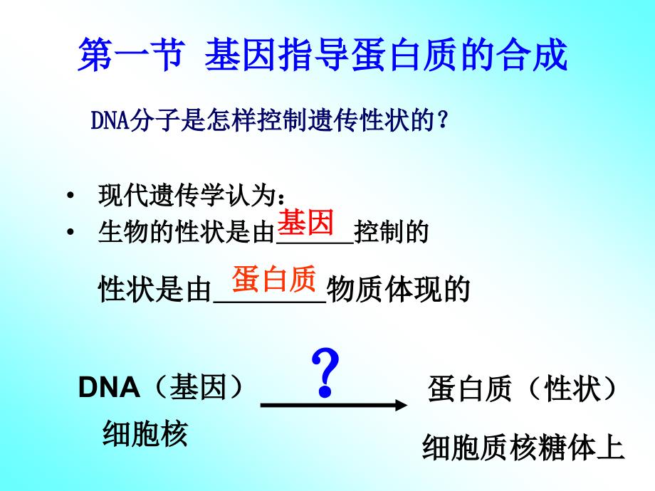 第四章基因的表达_第2页