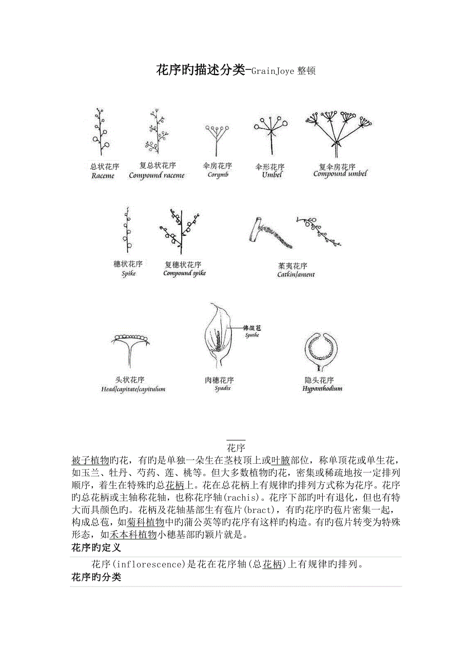 花序描述分类(最新整理)_第1页