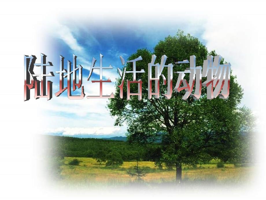 八年级生物陆地生活的动物_第1页
