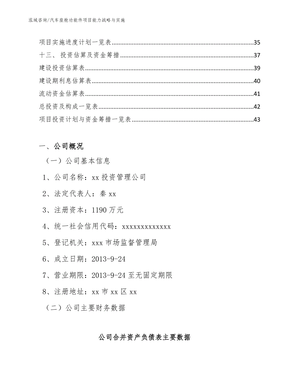 汽车座舱功能件项目能力战略与实施（范文）_第2页