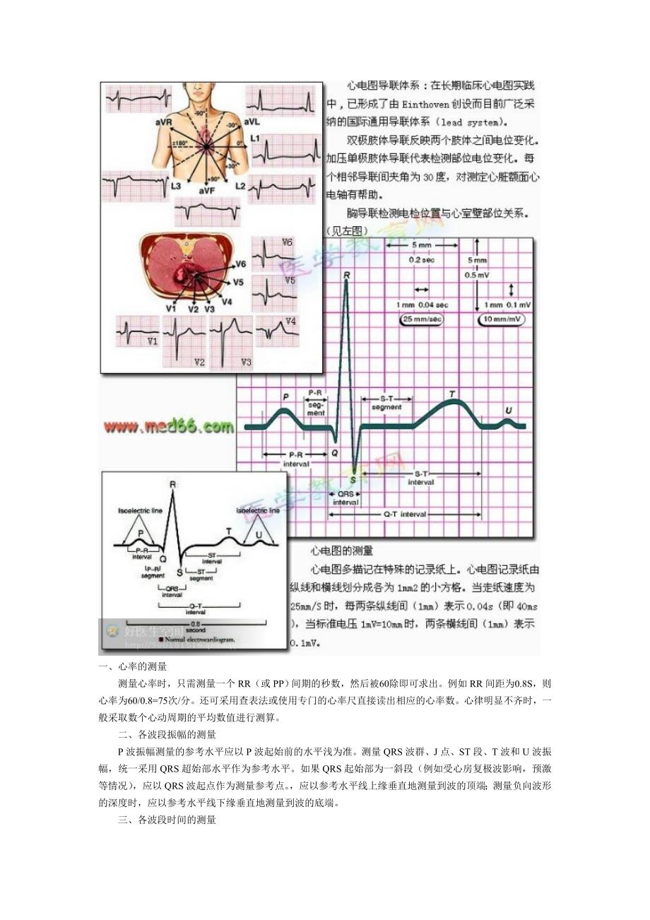 心电图的产生原理和基本测量.doc_第2页