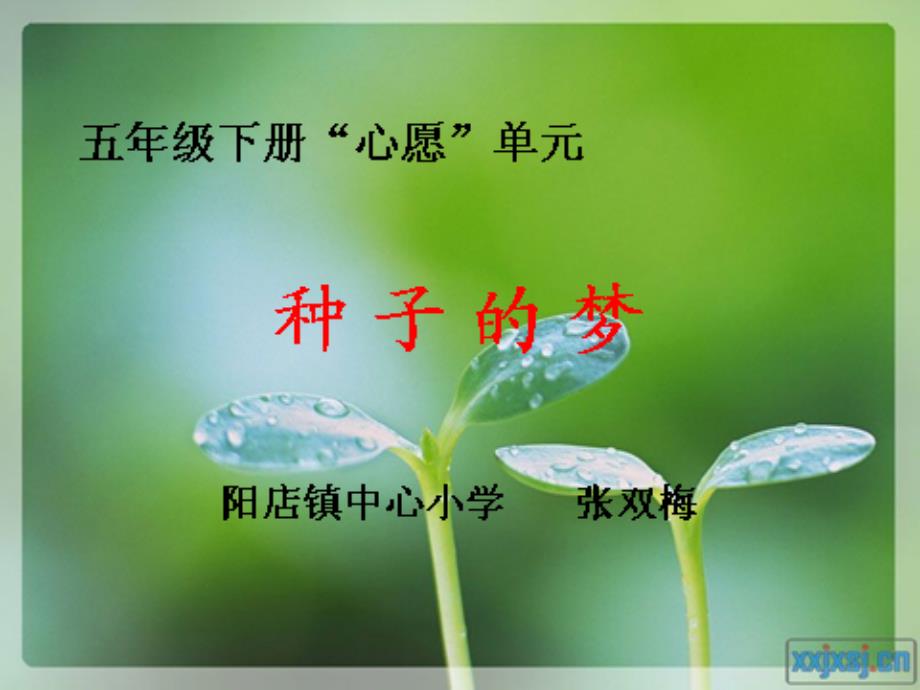 五下《种子的梦》课件_第1页