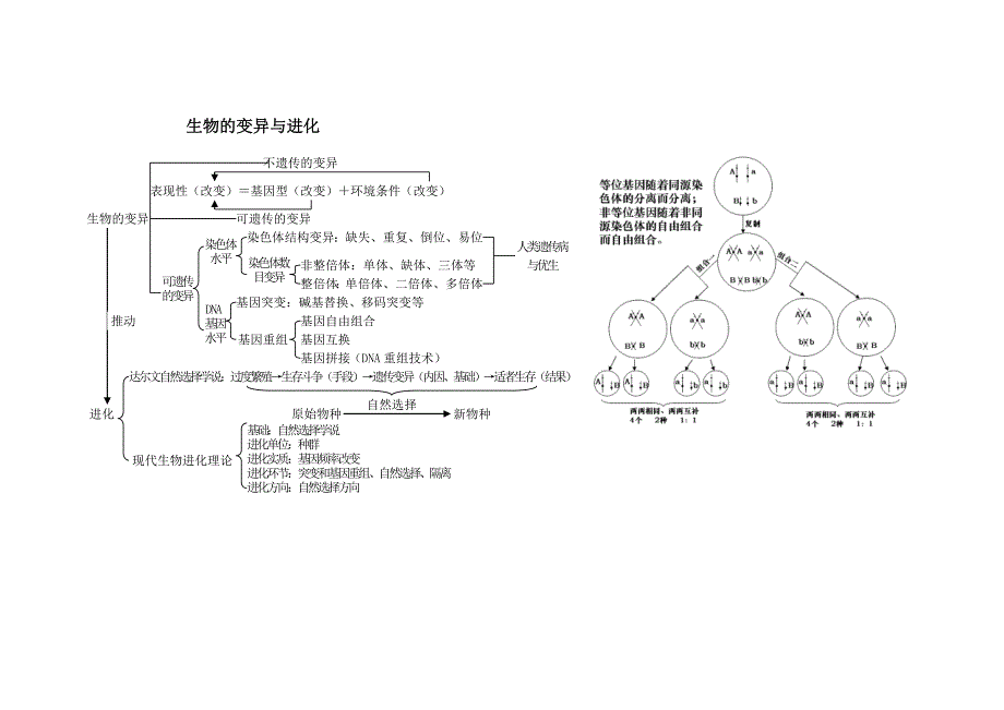 人教版教学素材《遗传与进化》思维导图(1)(教育精品)_第3页