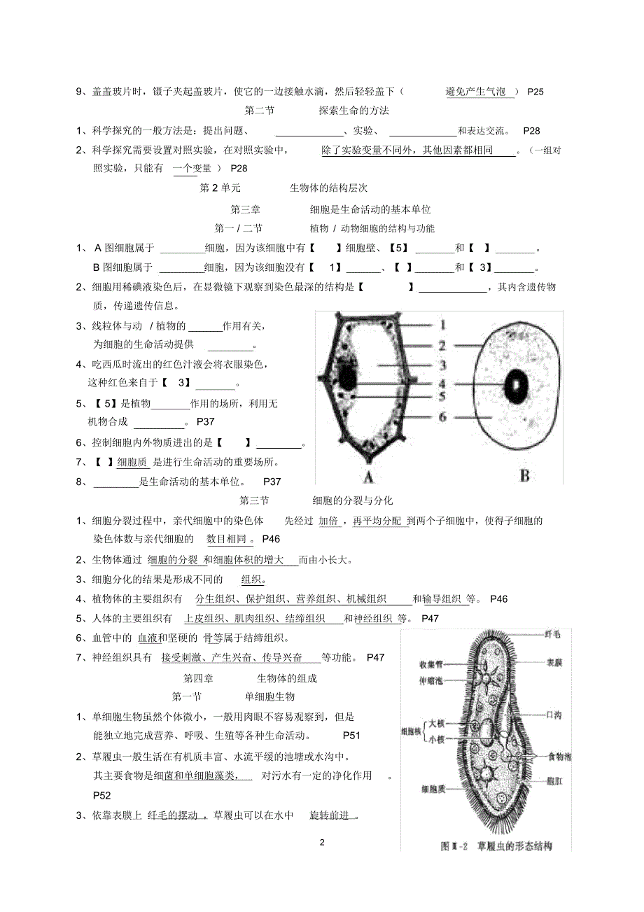 苏教版生物七年级上册复习资料_第2页