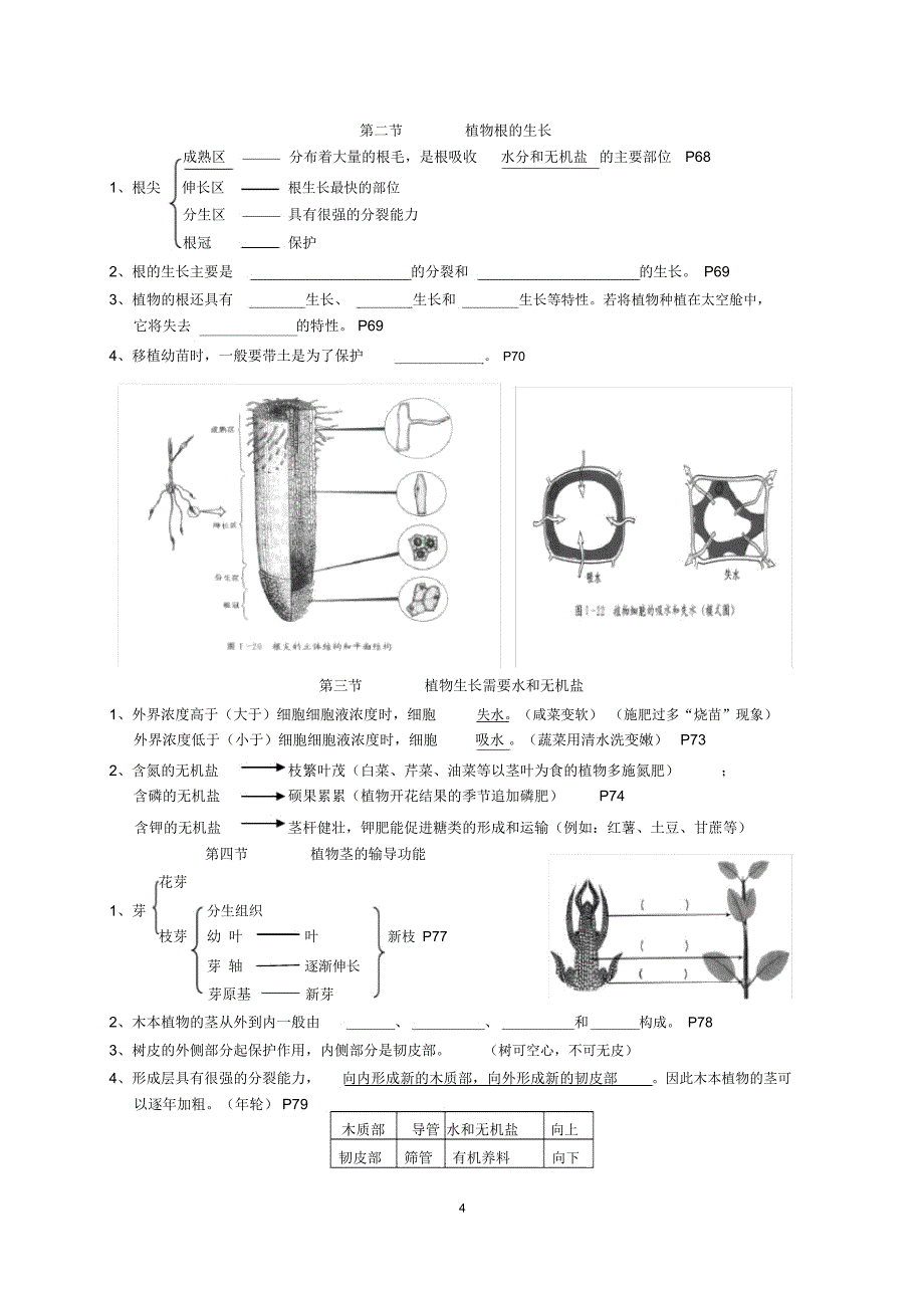 苏教版生物七年级上册复习资料_第4页