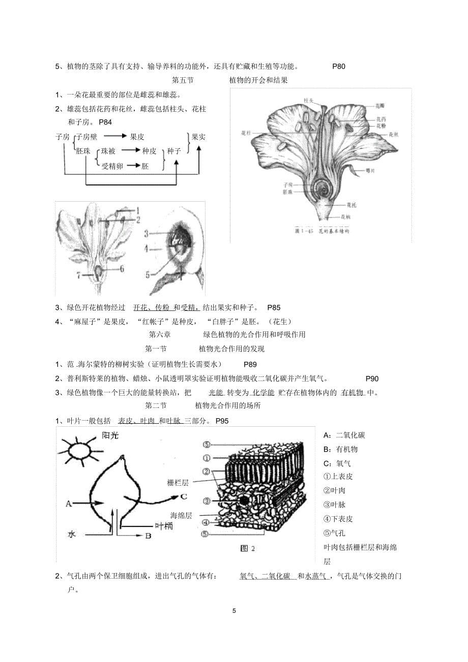 苏教版生物七年级上册复习资料_第5页