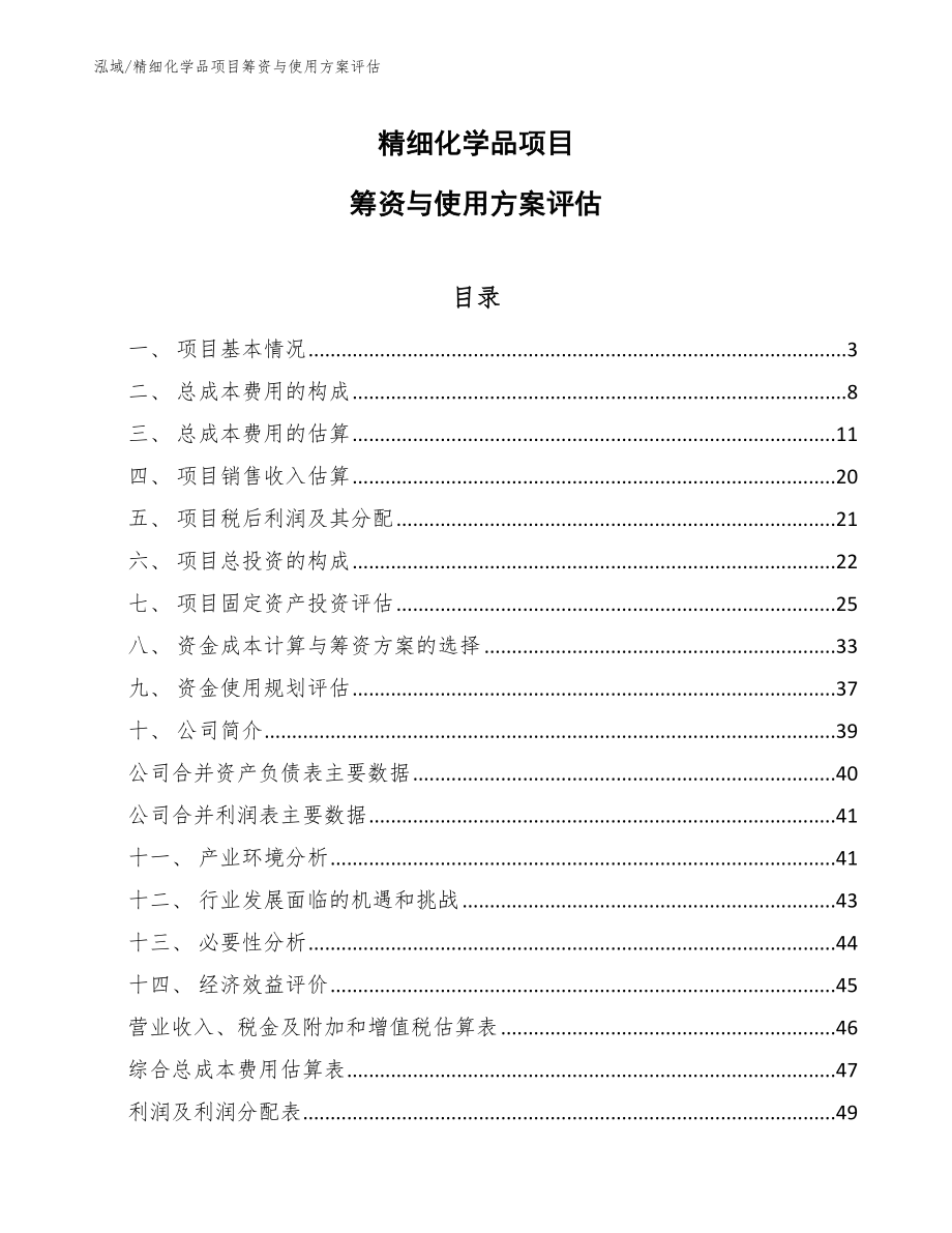 精细化学品项目筹资与使用方案评估（范文）_第1页