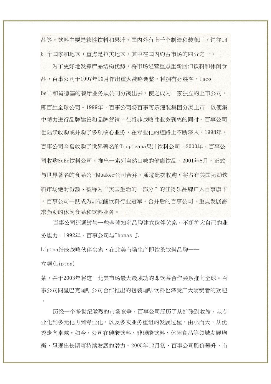 乐事系列产品广告策划（天选打工人）.docx_第5页