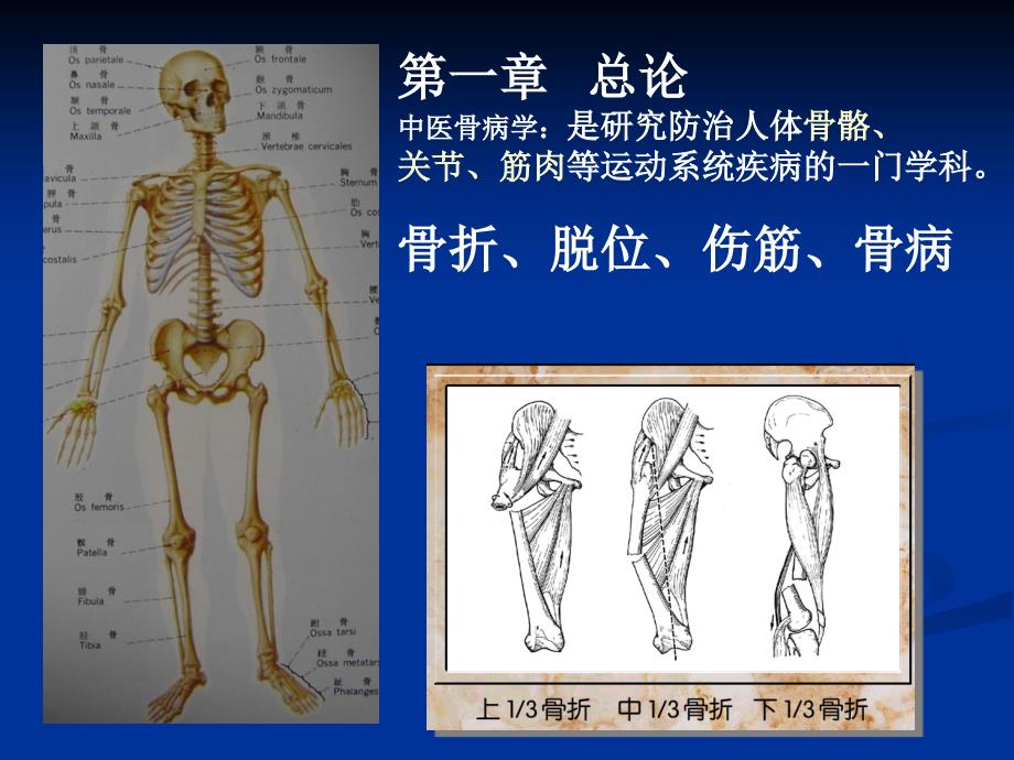 中医病学1总论_第1页