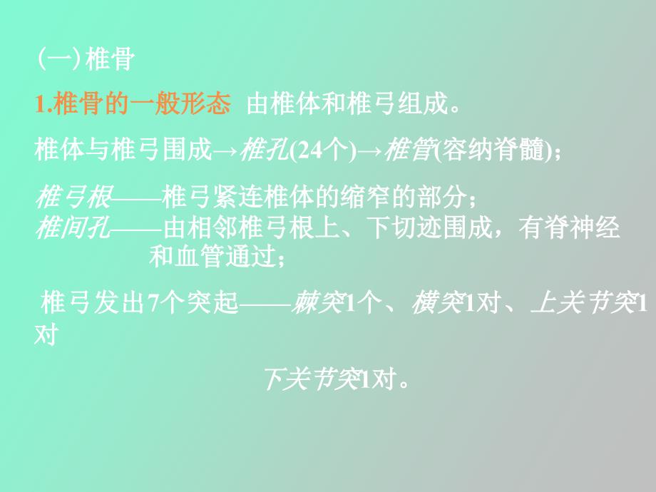 躯干骨颅骨及其连接_第4页