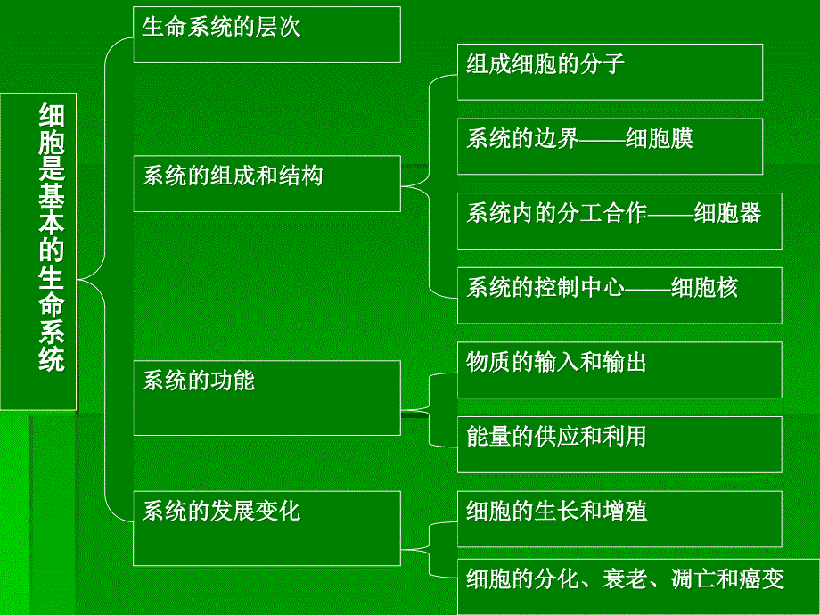 人教版教学课件生命系统的结构层次课件_第4页