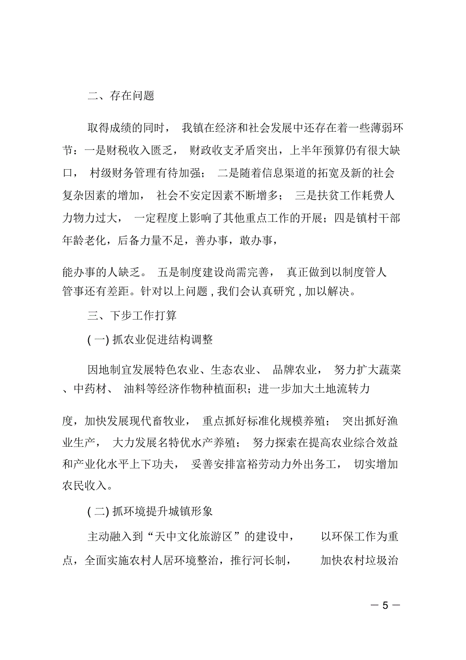 乡镇2018年上半年工作总结及下半年计划_第5页