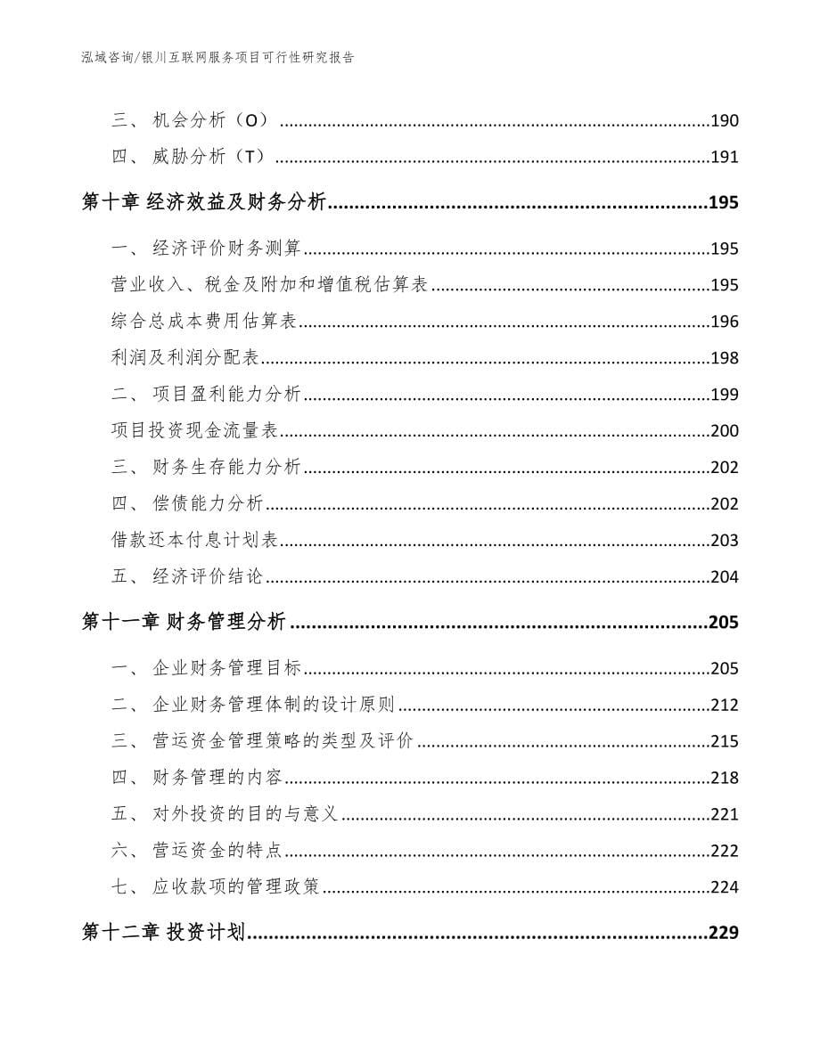 银川互联网服务项目可行性研究报告_第5页