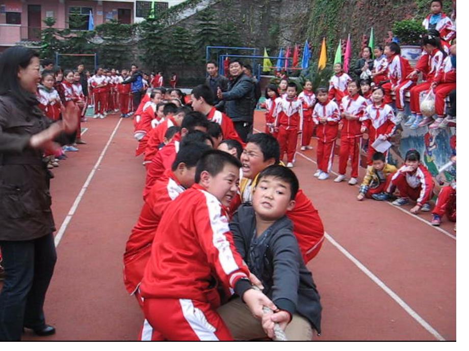 扇形统计图民族小学赵光祯_第3页