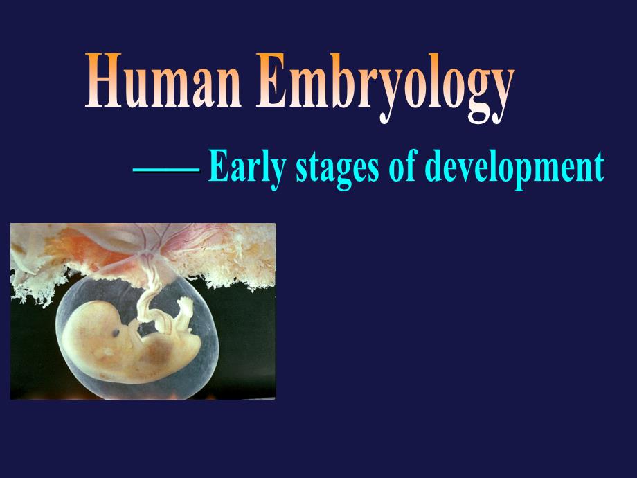 医学遗传与胚胎发育：7.1Human Embryology-1_第1页