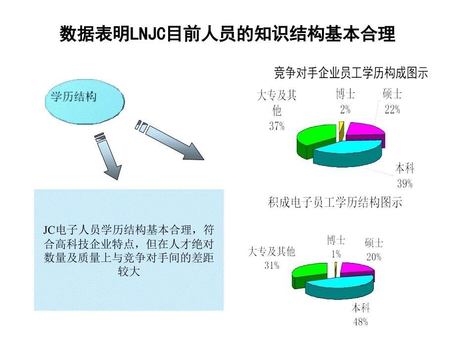 某某电子公司人力资源诊断报告_第5页