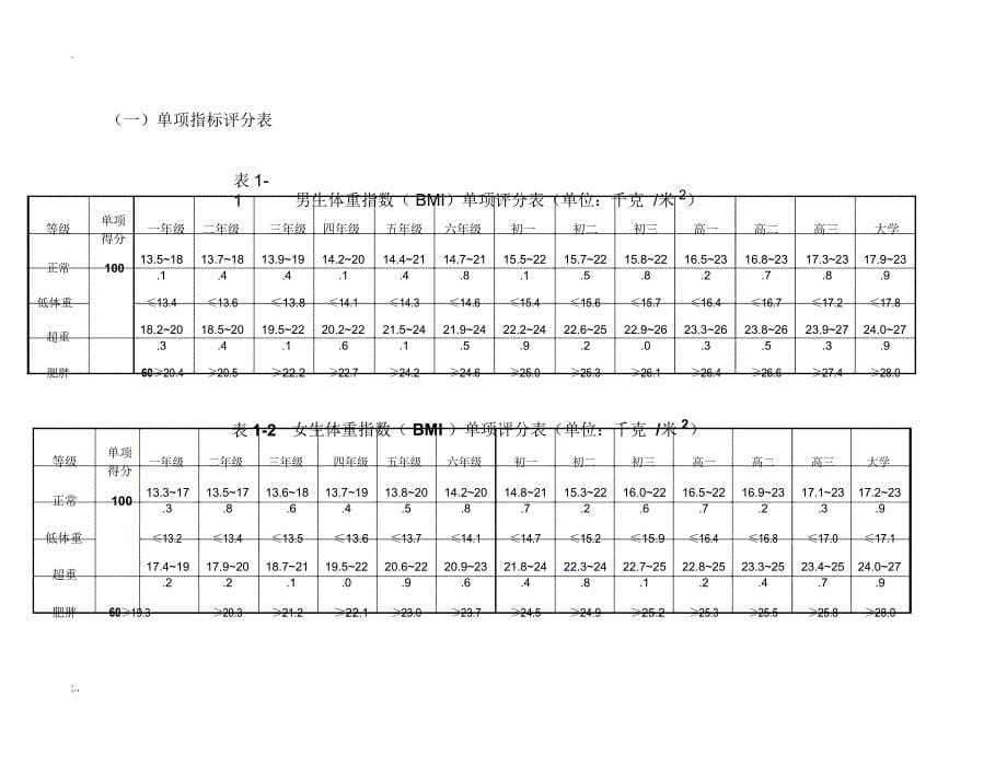 中小学体质测试标准_第5页