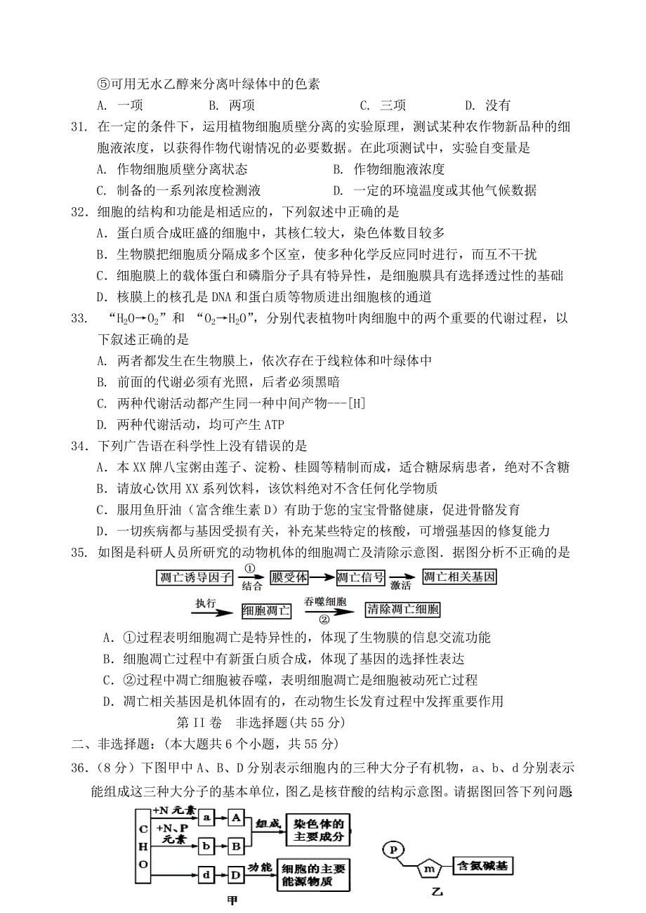 吉林省吉林市2019_2020学年高一生物上学期期末考试试题.docx_第5页