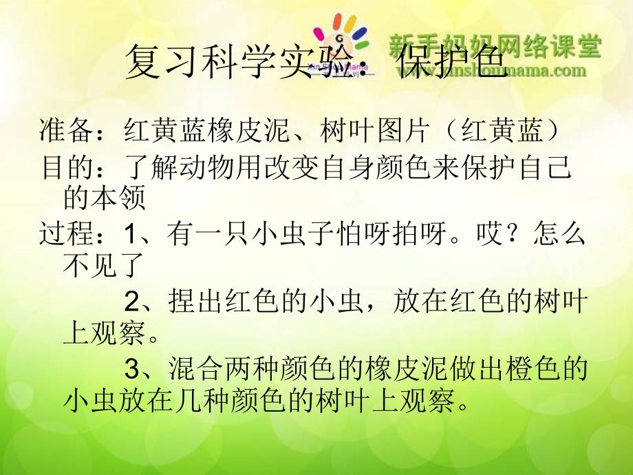 亲子互动科学小实验动物的骨骼_第3页