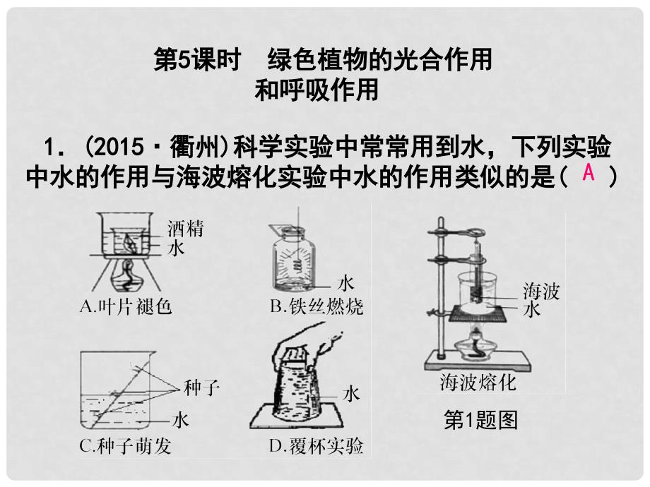 浙江省中考科学第一轮总复习 第一篇 生命科学 第5课时 绿色植物的光合作用和呼吸作用课后练习课件_第1页