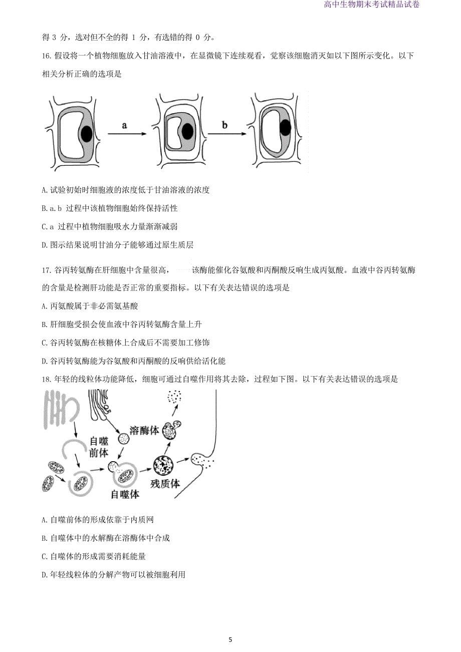 2023学年山东省德州市高一生物上学期期末考试生物试题_第5页