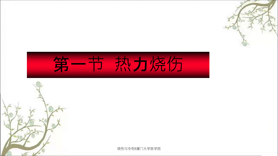 烧伤与冷伤B厦门大学医学院_第3页