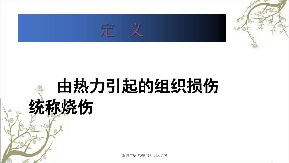 烧伤与冷伤B厦门大学医学院_第4页