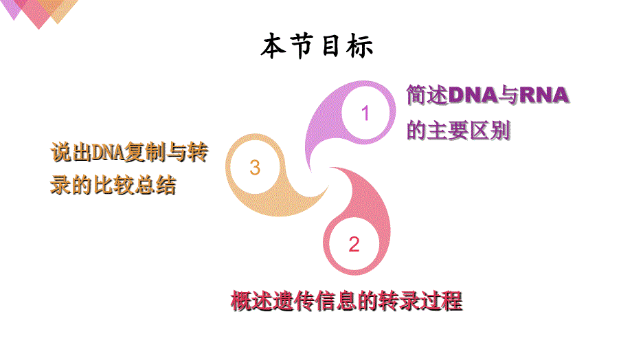 基因指导蛋白质的合成ppt课件_第2页