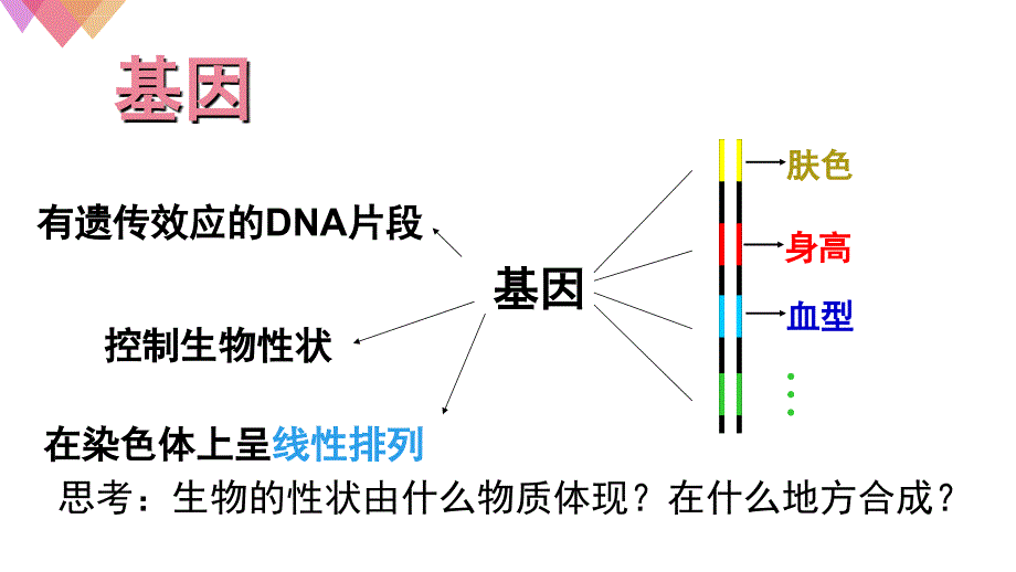 基因指导蛋白质的合成ppt课件_第4页