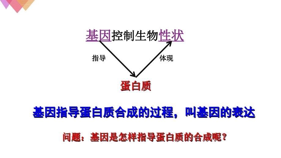 基因指导蛋白质的合成ppt课件_第5页