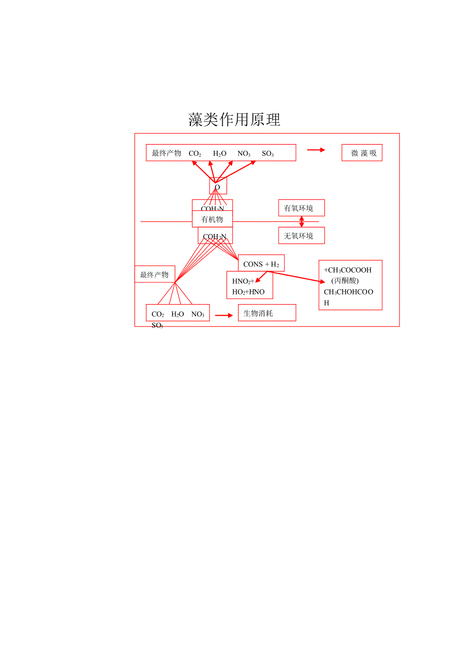 娃娃鱼养殖关键是源自对藻相的认知.doc_第3页