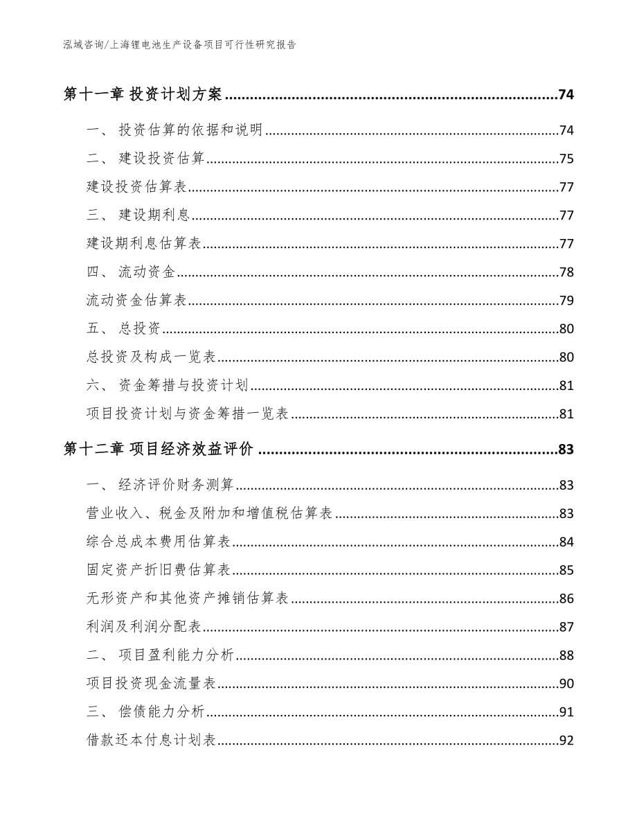 上海锂电池生产设备项目可行性研究报告_第5页