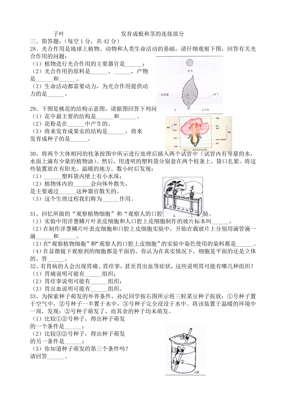 七年级期末测试卷.doc_第3页