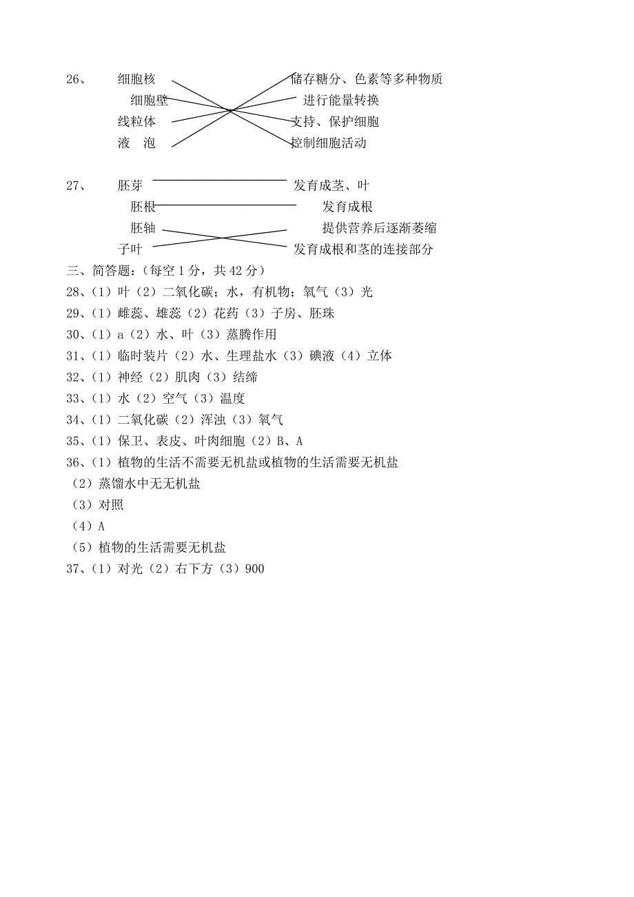 七年级期末测试卷.doc_第5页