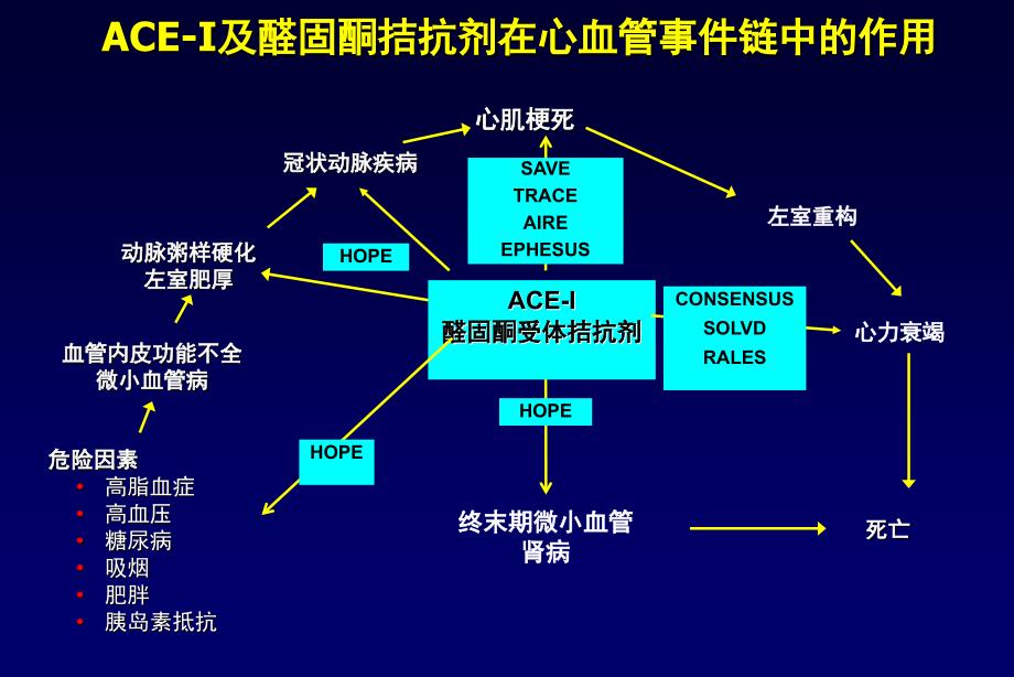 ACEI临床应用_第3页