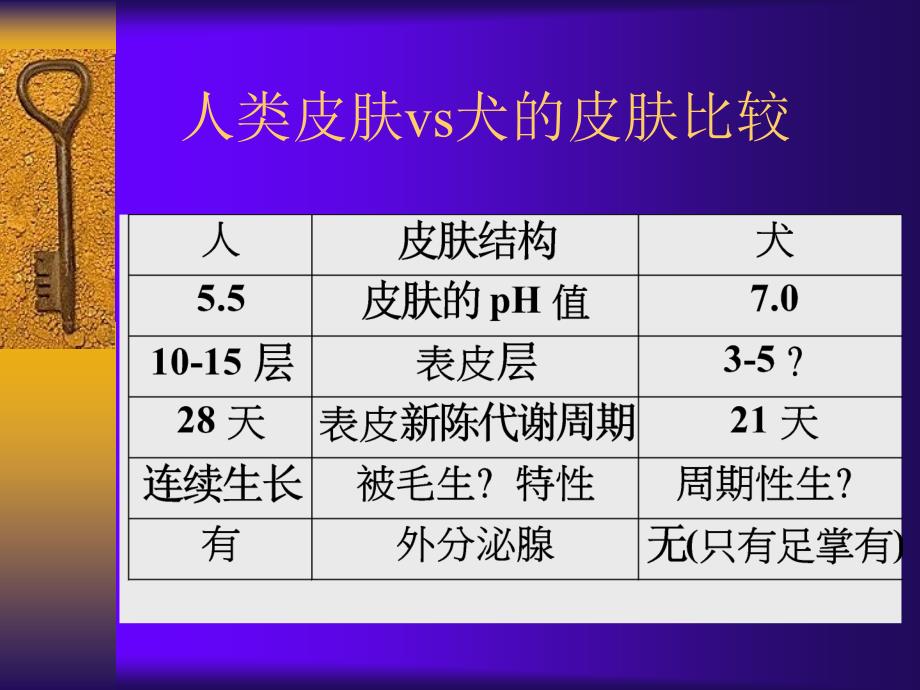 临床皮肤病病例分析林德贵_第4页