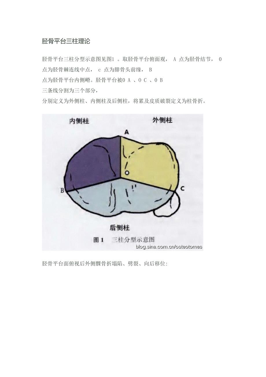 医学专题—胫骨平台三柱理论16013_第1页