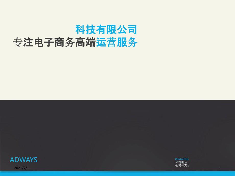 电子商务服务公司简介模板_第1页