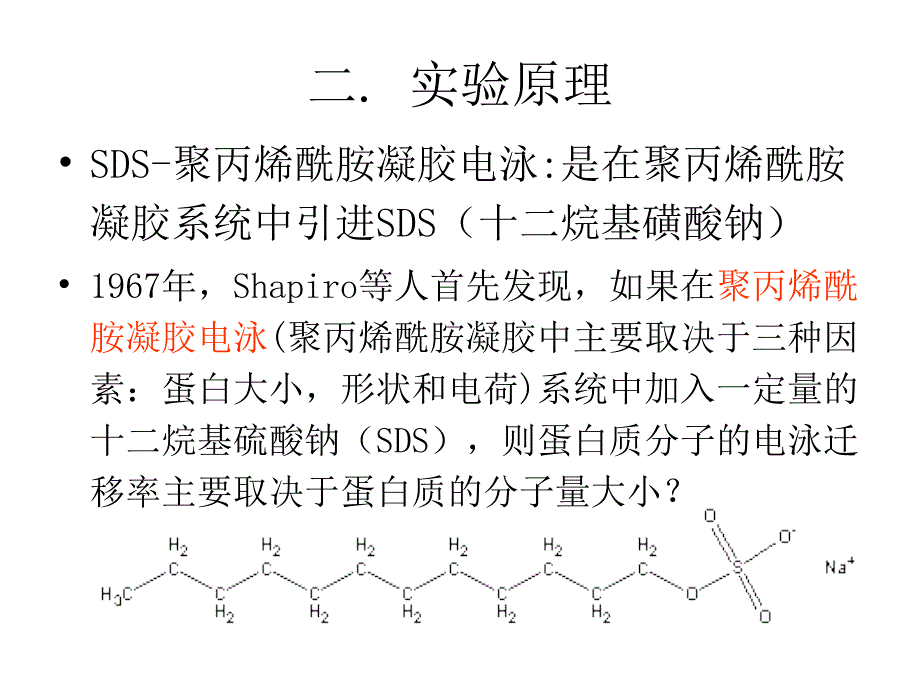 SDS聚丙烯酰胺凝胶电泳（PAGE）(PPT25)_第3页