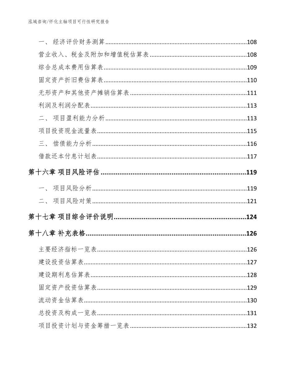 怀化主轴项目可行性研究报告_第5页