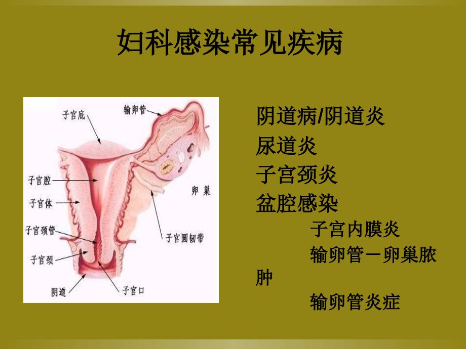 妇科感染常见病原菌及检测方法_第2页