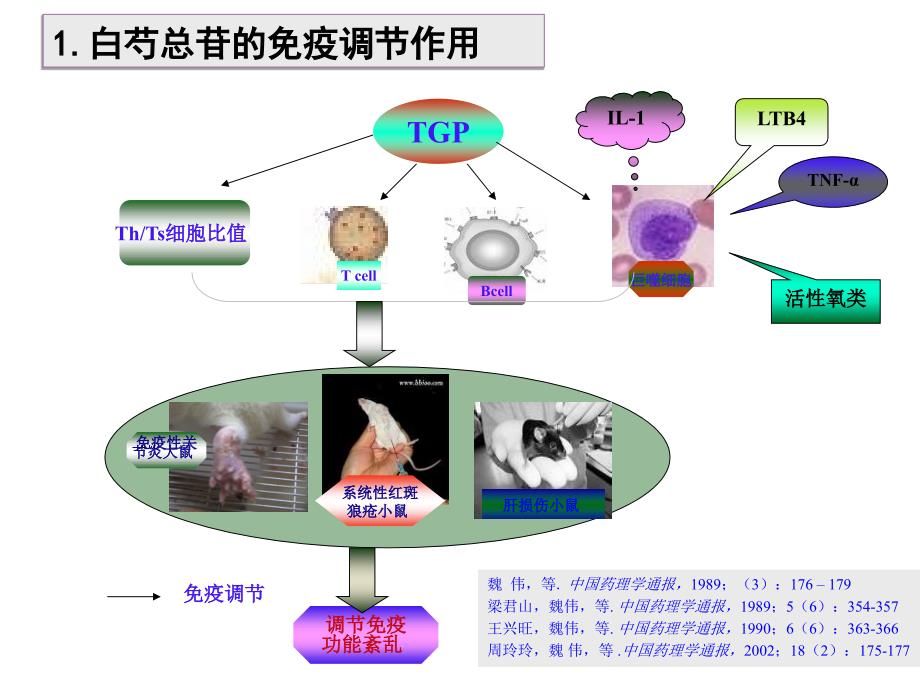 帕夫林在银屑病应用探讨课件_第4页