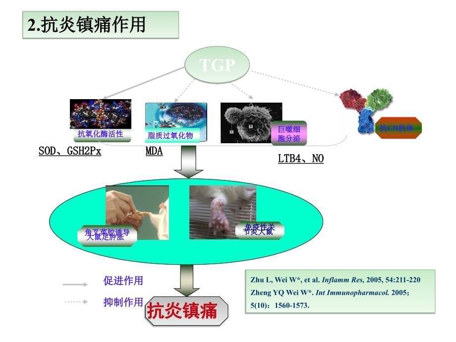 帕夫林在银屑病应用探讨课件_第5页