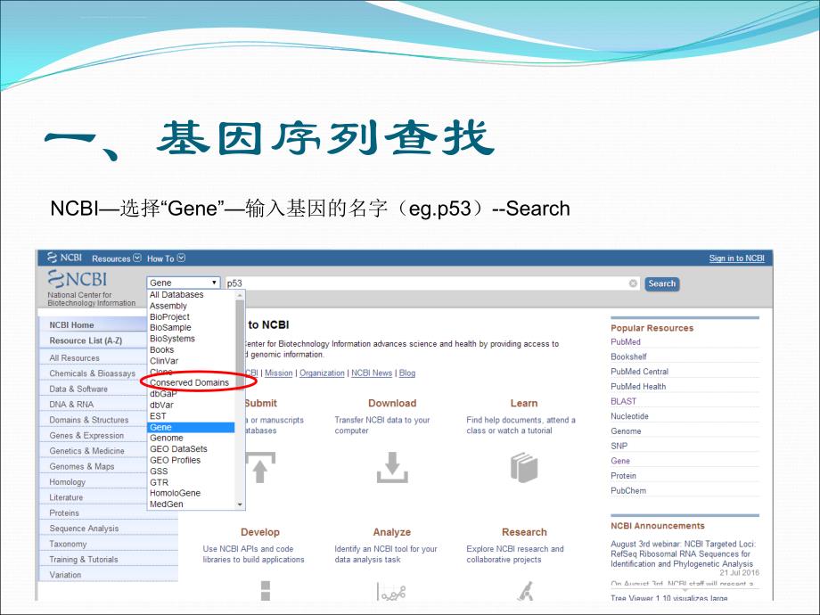 基因启动子序列的查找ppt课件_第2页