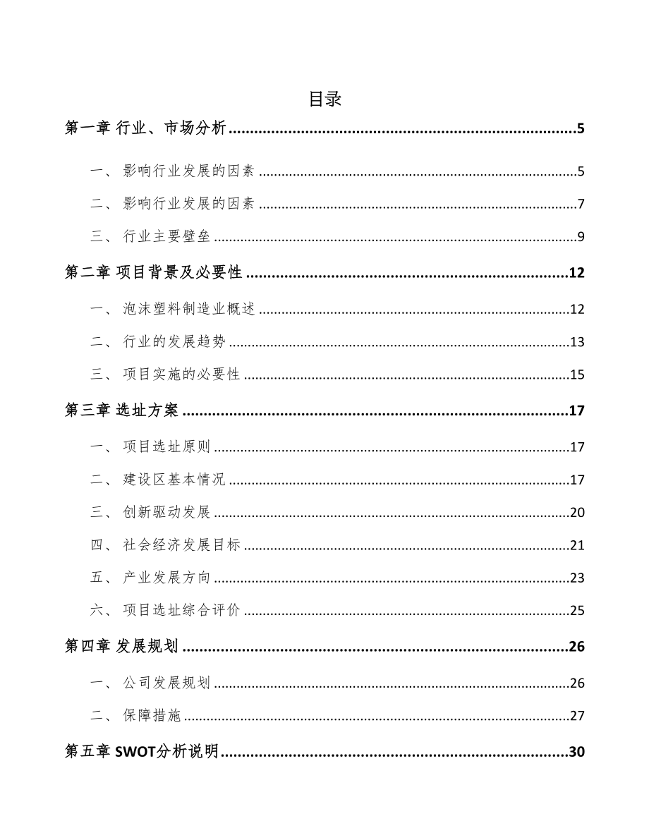 安徽高分子泡沫塑料项目可行性研究报告(DOC 51页)_第1页