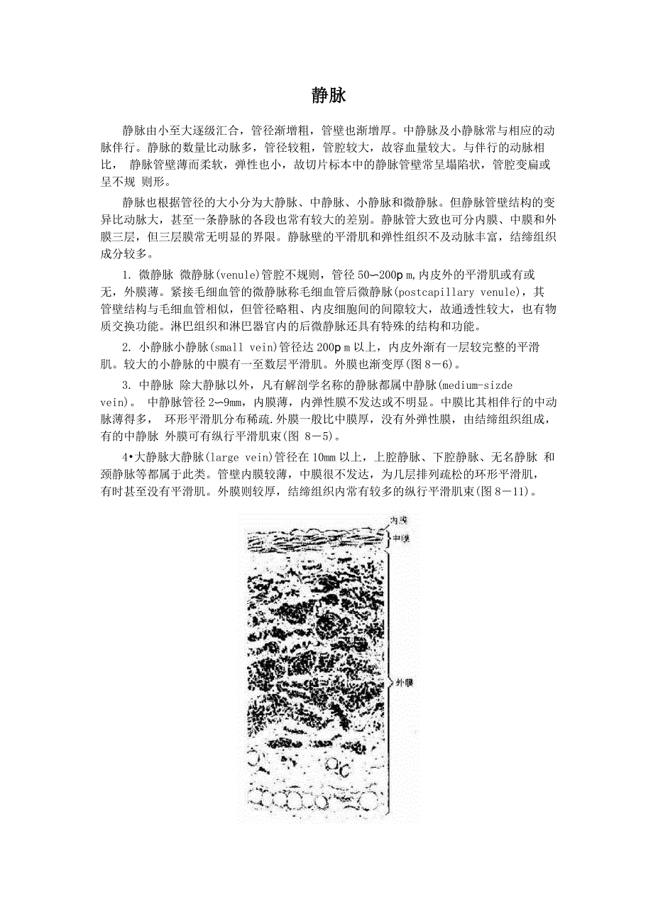 动脉与静脉_第1页