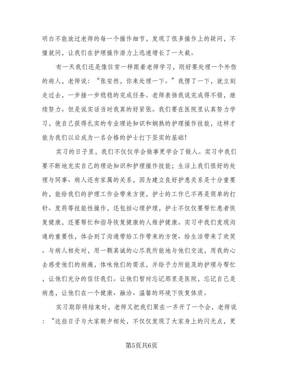 2023护士个人实习工作总结标准范本（三篇）.doc_第5页